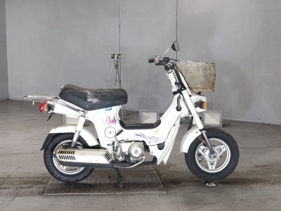 Honda CHALY50