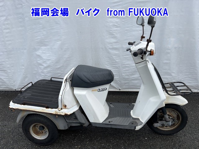 Honda GYRO UP