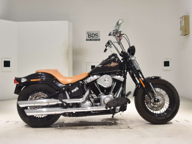 HD CROSS BONES FLSTSB1580