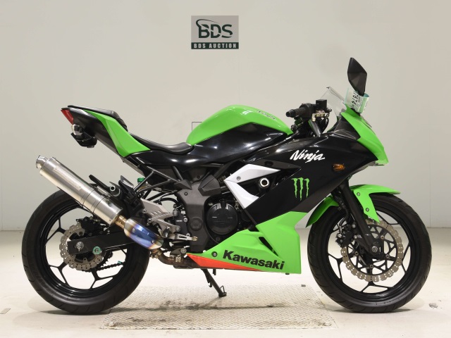 Kawasaki NINJA250