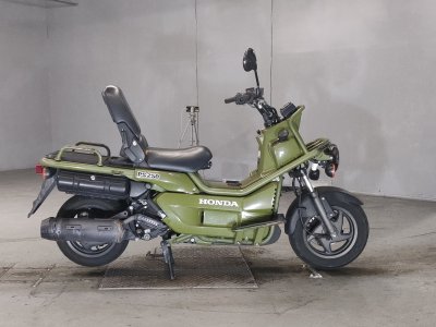 Honda PS250 BIG RUCKUS