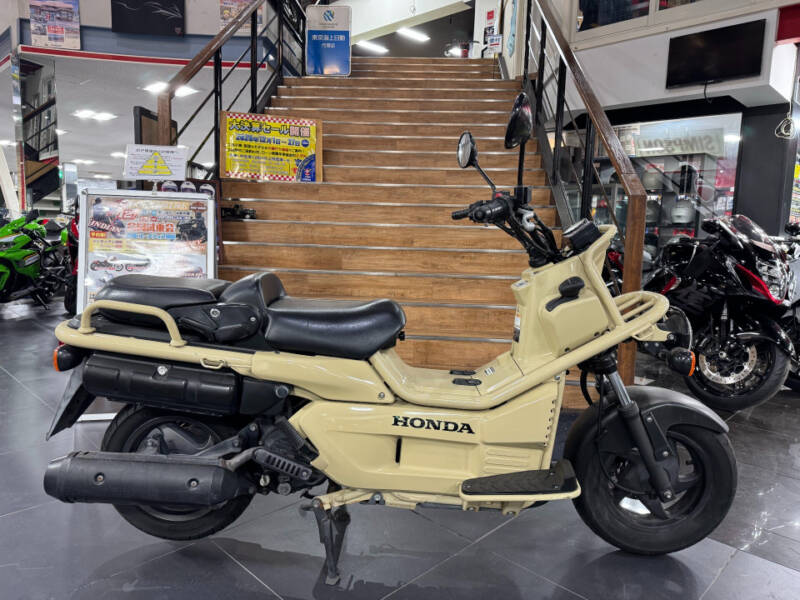 Honda PS250 BIG RUCKUS