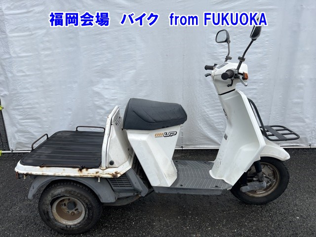 Honda GYRO UP
