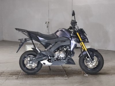 Kawasaki Z125 PRO