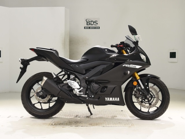 Yamaha YZF-R25
