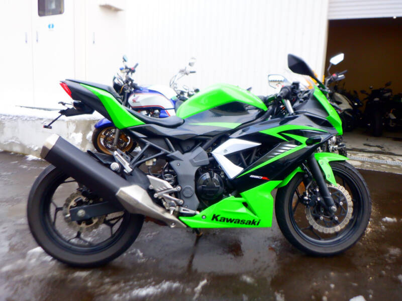 Kawasaki NINJA250