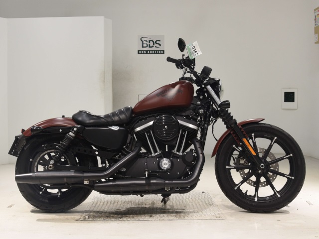 HD SPORTSTER IRON XL883N