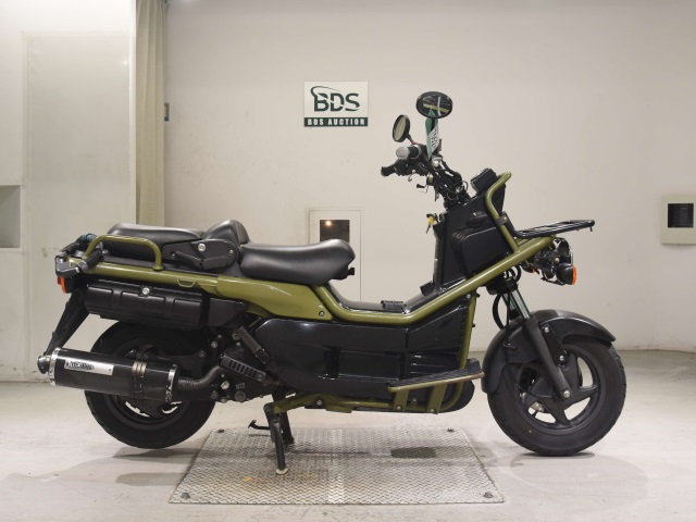 Honda PS250 BIG RUCKUS