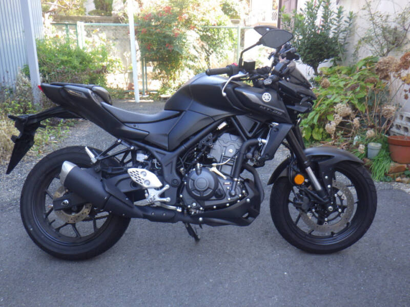 Yamaha MT-25