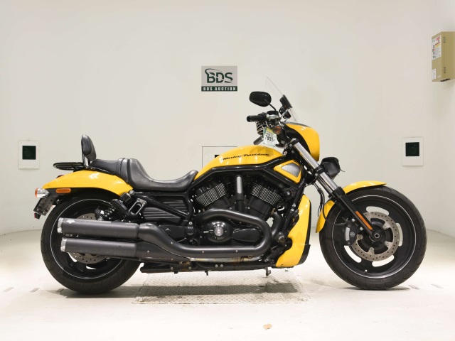 HD Night Rod 1250 SP