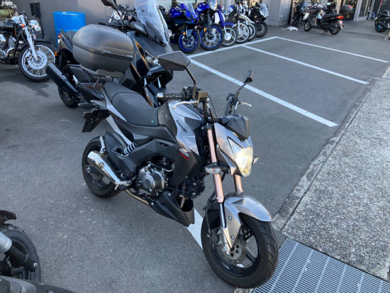 Kawasaki Z125 PRO