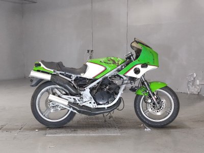 Kawasaki KR250