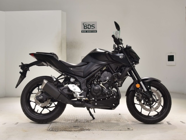 Yamaha MT-25