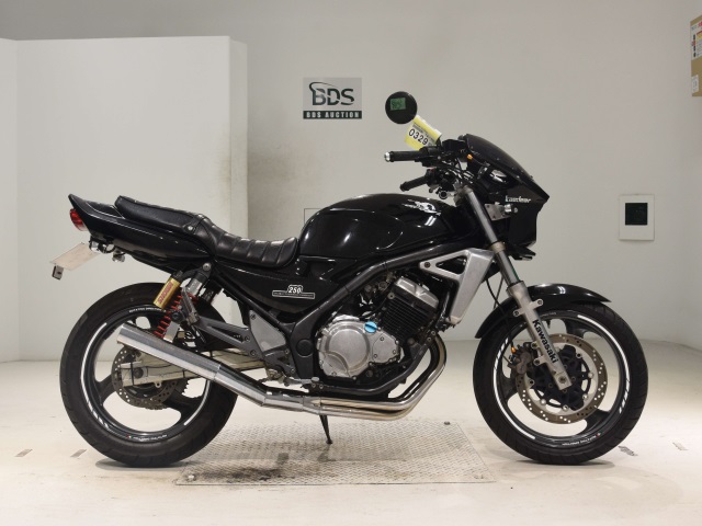 Kawasaki BALIUS ZR250