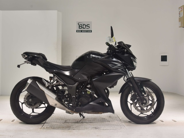 Kawasaki Z250A 2016