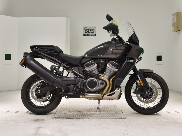 HD PAN AMERICA1250 S 2024
