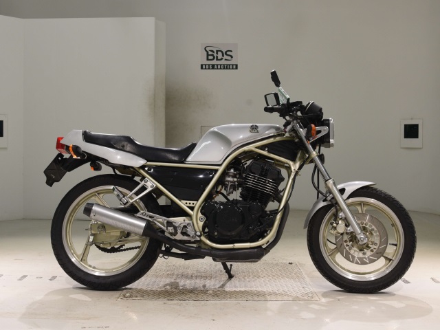 Yamaha SRX250