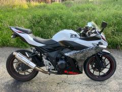 Suzuki GSX250R