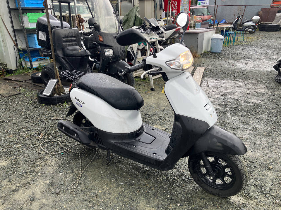 Honda TACT125 2024