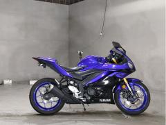 Yamaha YZF-R3 2019