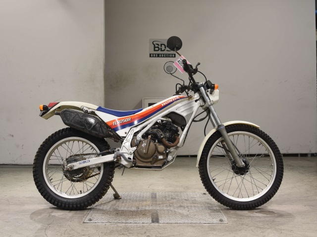 Honda TLR250R 1986