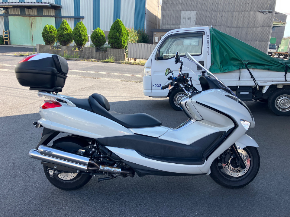 Yamaha MAJESTY 250