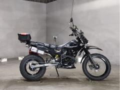 Yamaha TW225 2007