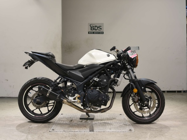 Yamaha YZF-R25 2016