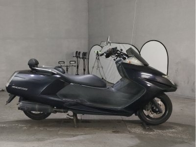 Yamaha MAGZAM 2006