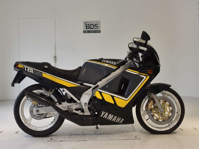 Yamaha TZR250