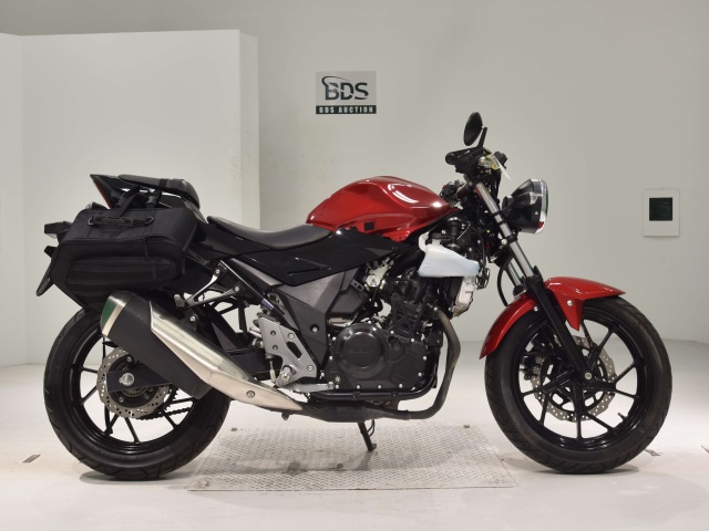 Suzuki GSX250R