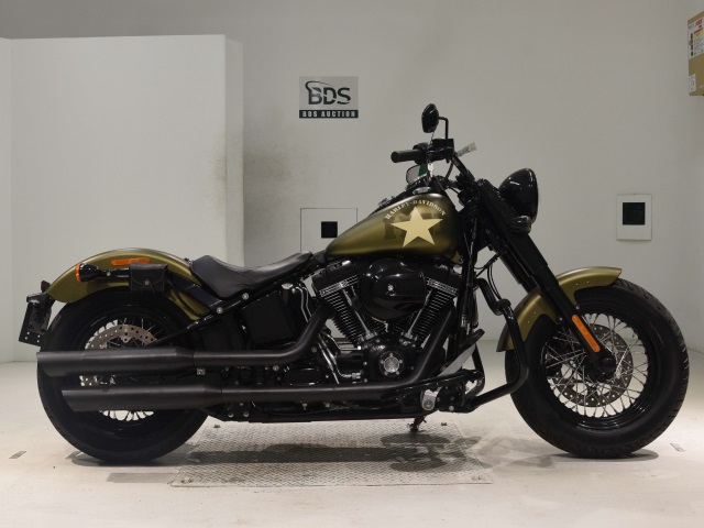 HD SLIM S FLSS1800 2016