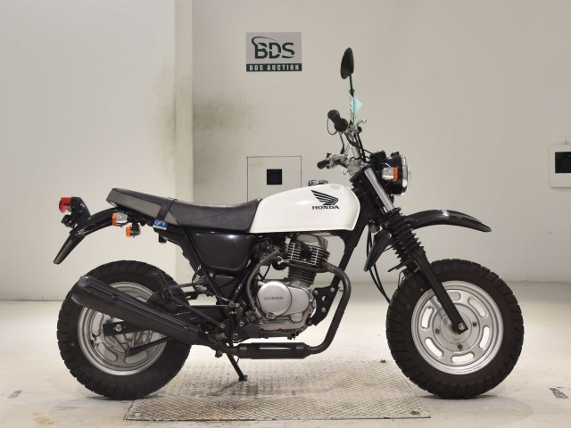 Honda APE100 2009