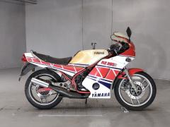 Yamaha RZ250RR 1984