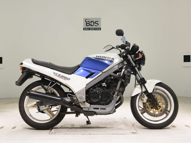 Honda VTZ250 1988