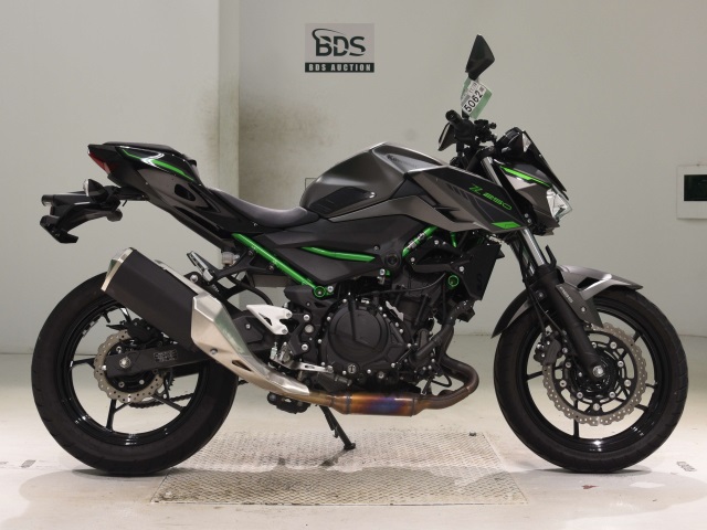 Kawasaki Z250 2024
