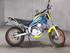 Yamaha TRICKER 2010
