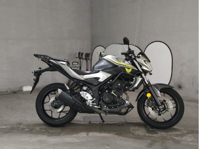 Yamaha MT-25 2017