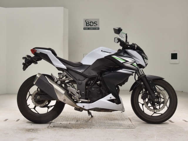 Kawasaki Z250 2014