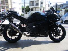 Suzuki GSX250R