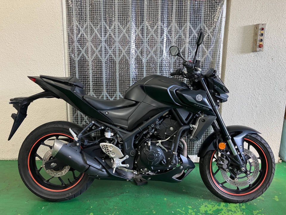 Yamaha MT-25 2021