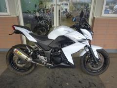 Kawasaki Z250 2013
