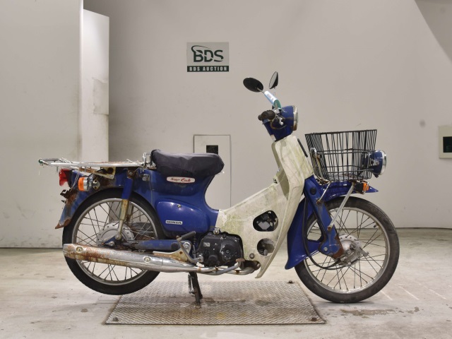 Honda C50 2008