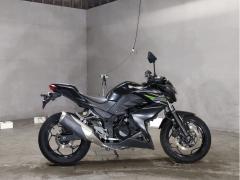 Kawasaki Z250 2013