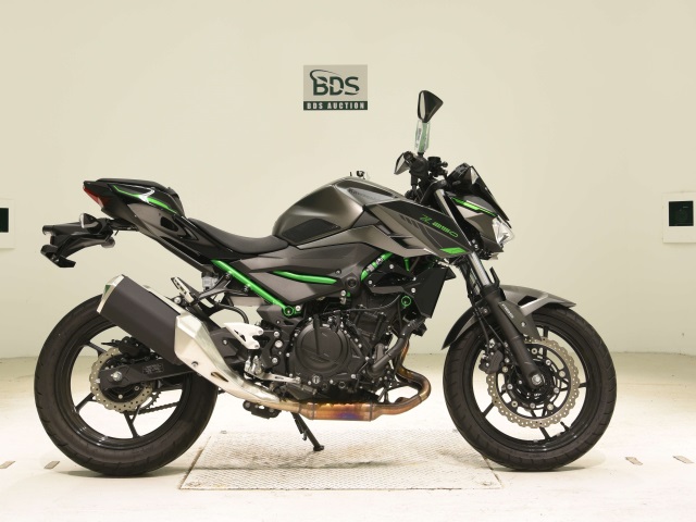 Kawasaki Z250 2024