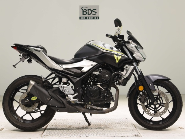 Yamaha MT-25 2017