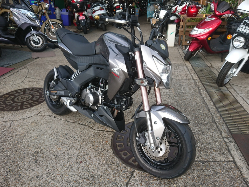 Kawasaki Z125 PRO 2017