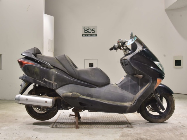 Honda FORZA Z 2005