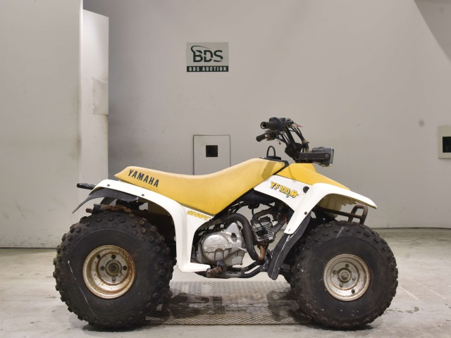 Yamaha YF100M