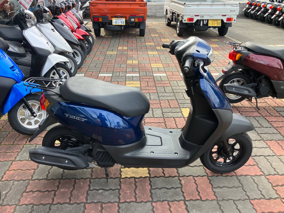 Honda TACT125 2024